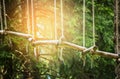 Rope bridge in climbing forest or high wire park, outdoor Royalty Free Stock Photo
