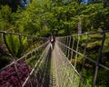 Rope Bridge at the Lost Gardens of Heligan in Cornwall, UK Royalty Free Stock Photo