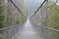 Rope bridge in misty mountains