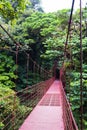 Rope bridge - Monteverde Cloud Forest Reserve