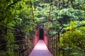 Rope bridge - Monteverde Cloud Forest Reserve