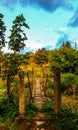 Rope bridge in the nature