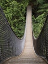 Rope bridge in the trees