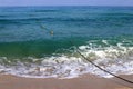 Rope with buoys to fence off a safe swimming area on the beach Royalty Free Stock Photo