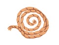 Rope coiled in circular spiral shape. Braided jute cord, thick hemp fiber accessor, strong string, twine swirl for