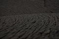 Rope detail from pahoehoe lava, Galapagos Royalty Free Stock Photo