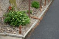 A rope fence in a city park protects flower beds from the entrance of people dogs or bicycle entry into flower beds separates lawn