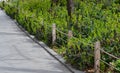 A rope fence in the city park protects flower beds from the entrance of people dogs or bicycle entry into flower beds separates th