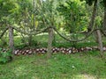 Rope Fence and Coconut Husk Yard Border