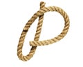 Rope forming letter P