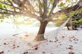 A rope hammock on a tree on the beach of a tropical island Royalty Free Stock Photo