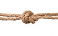 Rope knot isolated on a white background Royalty Free Stock Photo