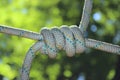 Rope Knot Outdoors. Abstract Background. Royalty Free Stock Photo