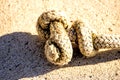 Rope with knot on a pier floor Royalty Free Stock Photo