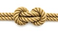 A rope knot on a white background (ai generated) Royalty Free Stock Photo