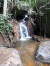 Small waterfall and rock and long rooted trees in the forest