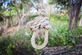 Rope loop knot tied - noose hanging on the tree or suicide rope