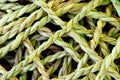 Rope made from Vetiver Grass Vetiveria zizanioide