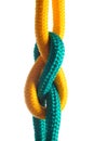 Rope with marine knot on white background Royalty Free Stock Photo