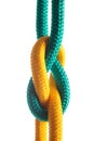 Rope with marine knot on white background. Royalty Free Stock Photo