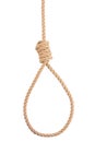 Rope noose with tight hangman knot isolated on white Royalty Free Stock Photo