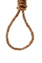 Rope in a noose on white