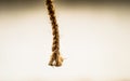 Rope Royalty Free Stock Photo