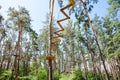 Rope park with coniferous forest. Summer time. View from below.