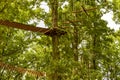 Rope park among the high trees