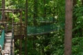 Rope park with suspension bridges located in the forest at the height among the lush foliage of trees. Entertainment and relaxing