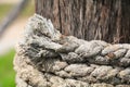 Rope roll background and texture Royalty Free Stock Photo