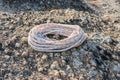 Rope rolled up on rock at the lakeside