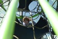 Rope slide for small children. A little boy climbs up the ropes. Child boy climbed on top of the rope web on playground.