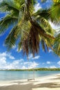 Rope swing at the beach on Nananu-i-Ra island, Fiji Royalty Free Stock Photo