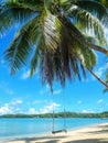 Rope swing at the beach on Nananu-i-Ra island, Fiji Royalty Free Stock Photo