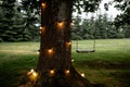 Rope swing hanging on a large tree with glowing lights Royalty Free Stock Photo