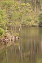 Rope swing over water