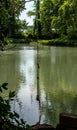 Rope swing over the waters