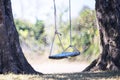 The Rope swings hanging under a tree Royalty Free Stock Photo