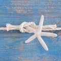 Rope tied to a starfish on blue wooden background with a knot for sailors