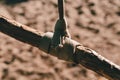 Rope tree swing close up.