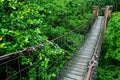 Rope walkway