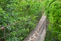 Rope walkway through