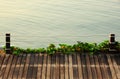 Rope walkway wood with plant on the sea