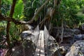 Rope and Wire suspended hanging bridge across a Jungle River in El Eden by Puerto Vallarta Mexico where movies have been filmed Royalty Free Stock Photo