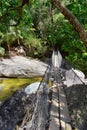 Rope and Wire suspended hanging bridge across a Jungle River in El Eden by Puerto Vallarta Mexico where movies have been filmed Royalty Free Stock Photo
