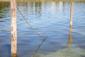 Rope and wooden sticks in water. Harbor background. Mudflat concept. Sea tideland background.