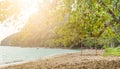 Rope wooden swing hanging on tree at topical beach with sunlight Royalty Free Stock Photo