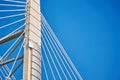 Ropes of a cable-stayed bridge against a blue sky Royalty Free Stock Photo