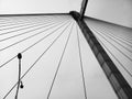 The ropes, cables of 2nd Hoogly bridge, Vidyasagar setu, connecting Howrah and Kolkata, West Bengal, India